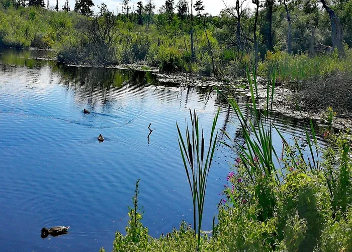 Resort Sanatorium Uzdrowiskowe Lech Kolobrzeg
