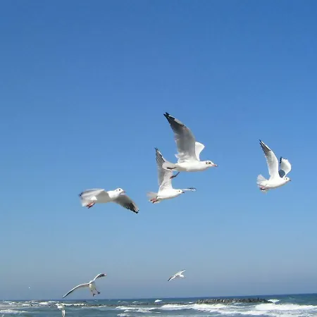 Sanatorium Uzdrowiskowe Lech Ośrodek wypoczynkowy 3*