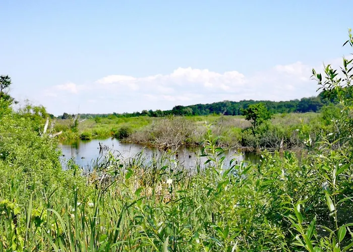 Sanatorium Uzdrowiskowe Lech Kolberg